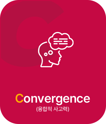 Convergence(융합적 사고력)